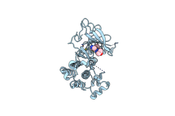 5EDR image