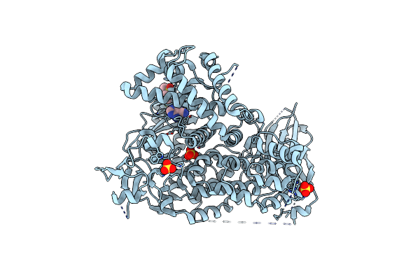 5EDS image
