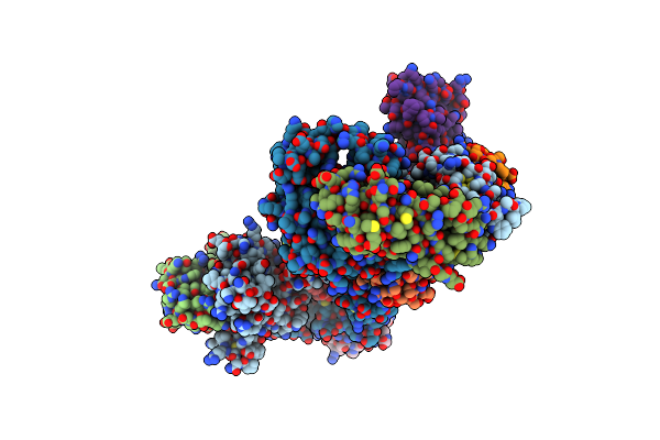 5EDV image