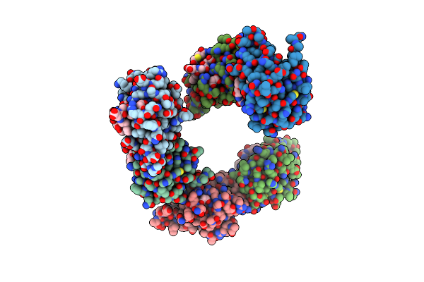 5EEL image