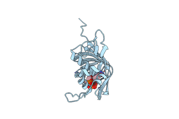 5EFA image