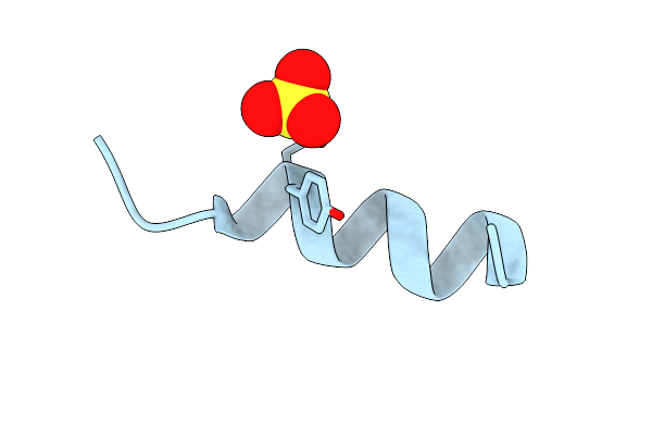 5EFM image