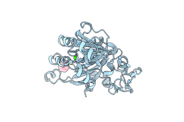5EG5 image