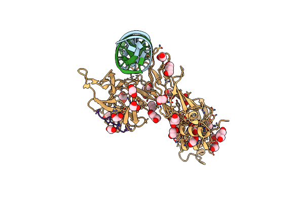 5EG6 image