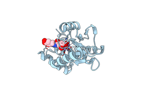 5EGA image
