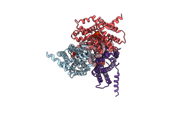 5EGI image
