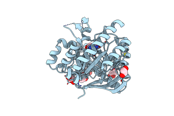 5EGR image