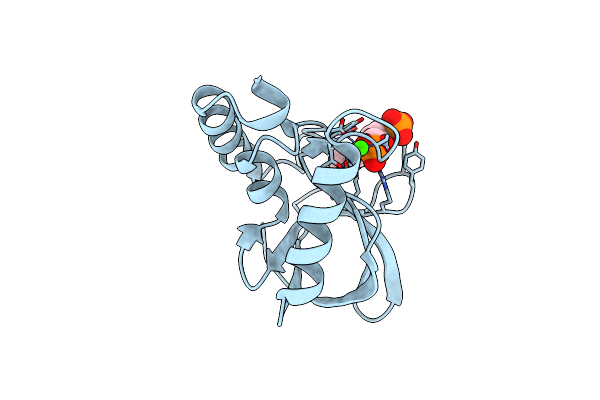 5EGT image