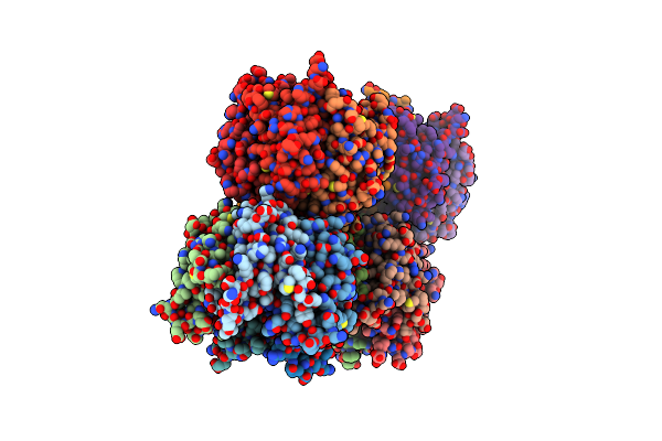 5EHD image