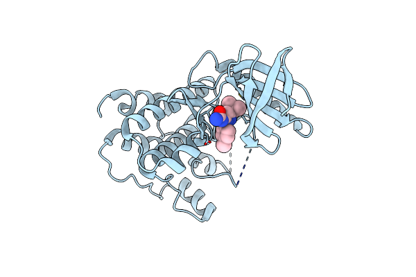 5EHL image