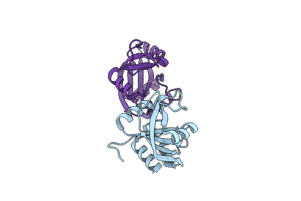 5EIP image