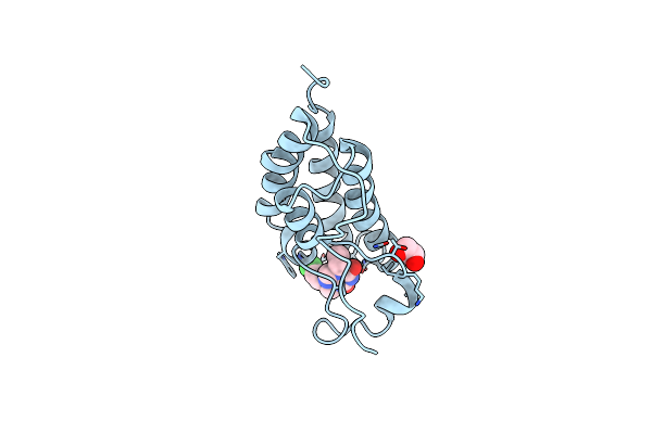 5EIS image