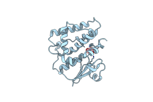 5ELA image