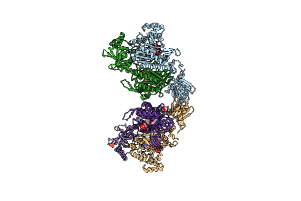 5ELO image
