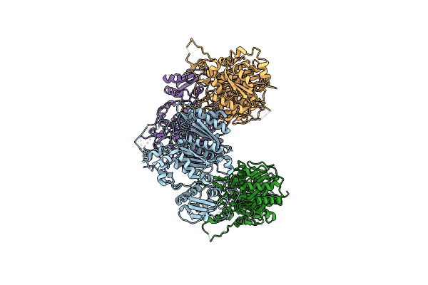 5ELP image