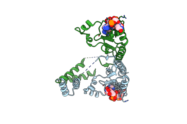 5ELT image