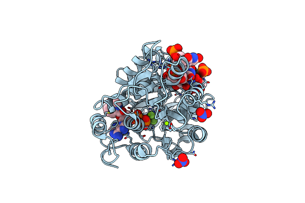 5ELX image
