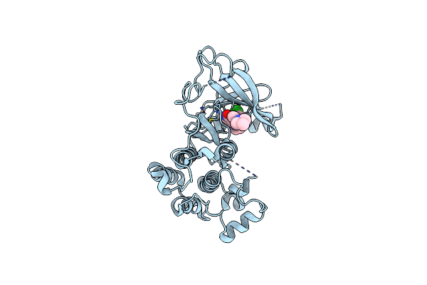 5EM5 image
