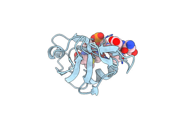 5EMB image