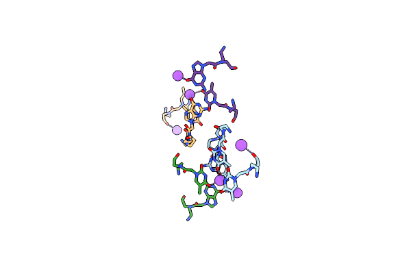 5EMG image