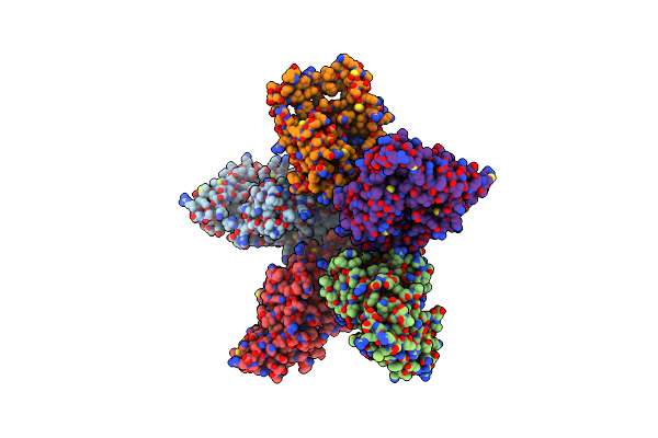 5EOG image