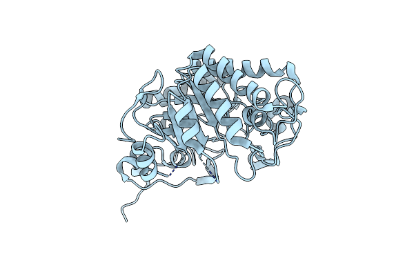 5EPD image
