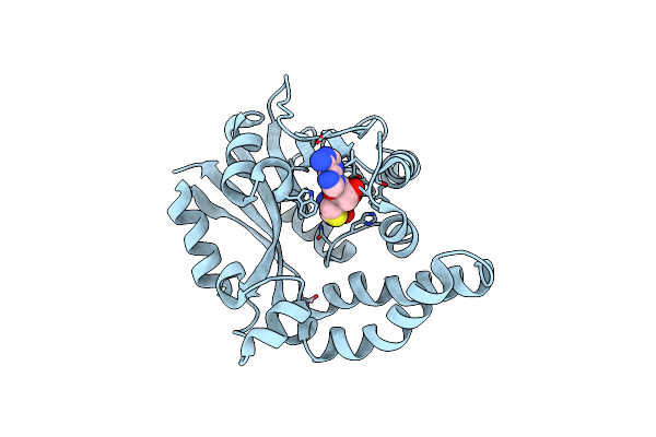 5EPE image