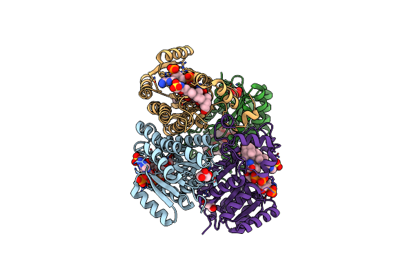 5EPO image