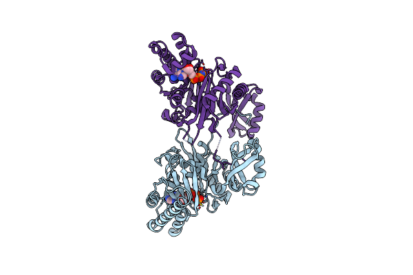 5EQ6 image