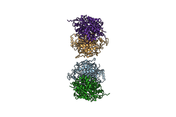5ERB image