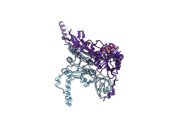 5ERG image