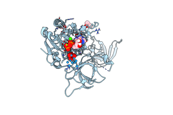 5ERV image