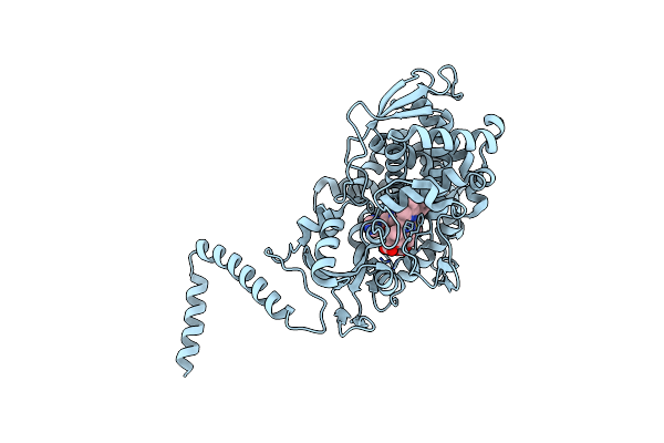 5ESJ image