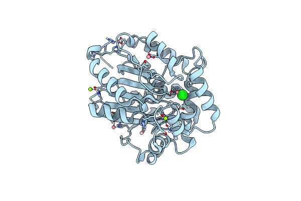 5ESR image