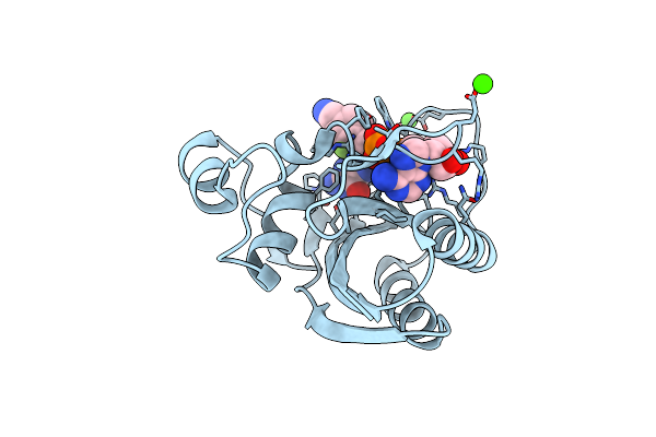 5ETO image