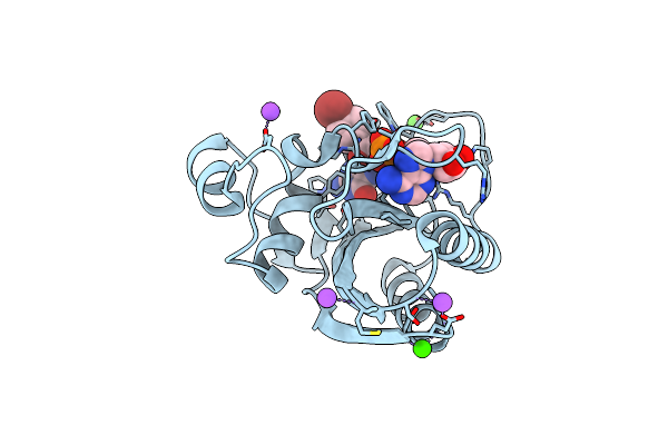 5ETP image