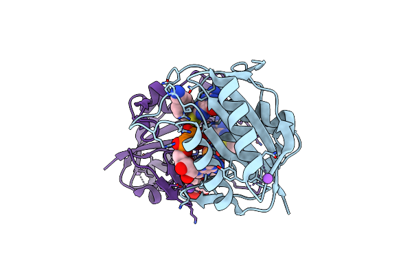 5ETQ image