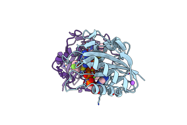 5ETR image