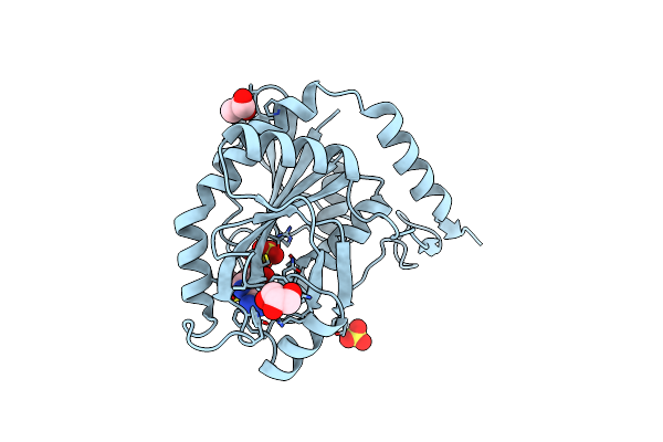 5EUB image