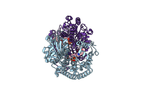 5EUD image