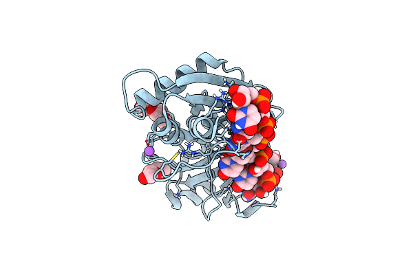 5EV1 image