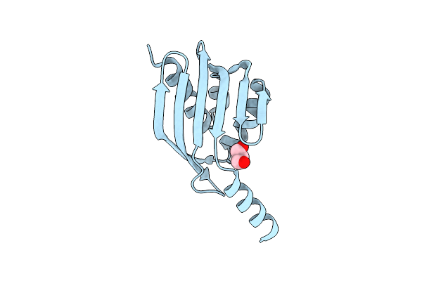5EVH image