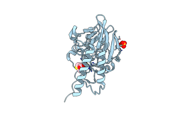 5EVK image