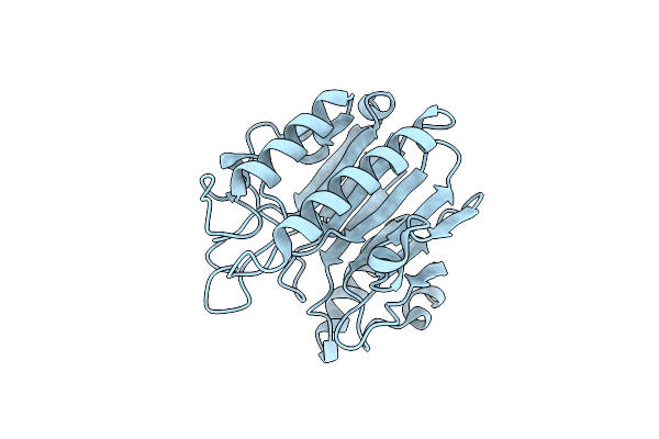5EWT image