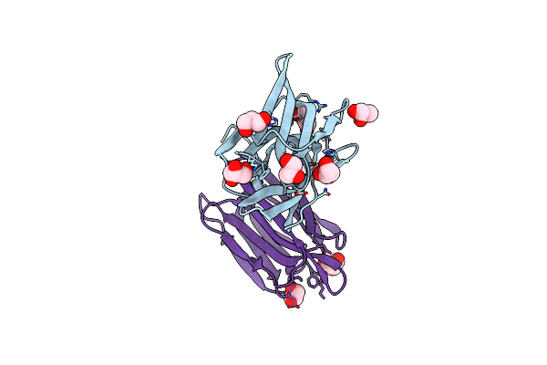 5EXG image