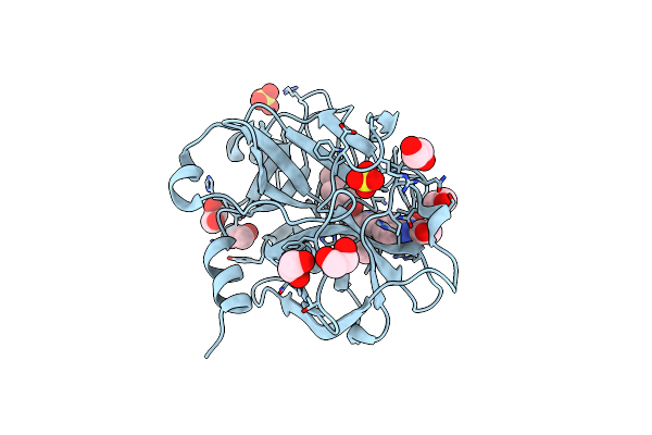 5EXL image