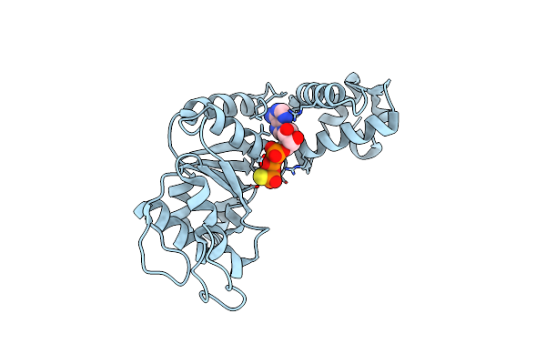 5EXS image