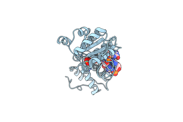 5EXX image