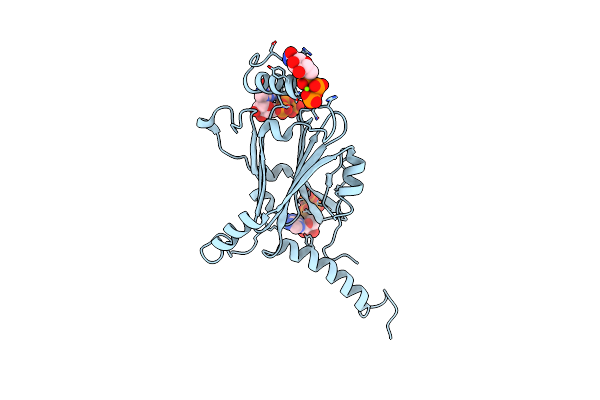 5EXZ image