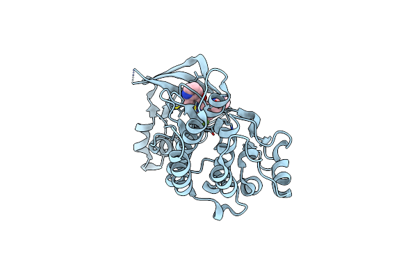 5EYC image